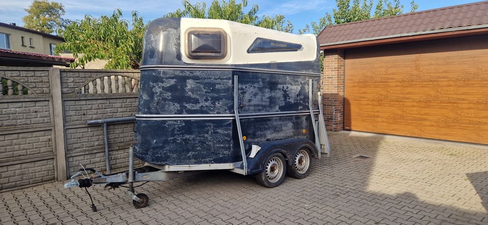 Przyczepa do przewozu koni