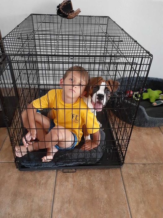 Переноска, вольер, клетка клітка для собак кошек Польша ВСЕ РАЗМЕРЫ