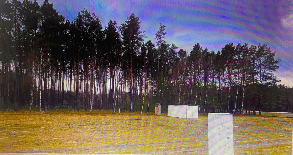 Sprzedam działkę budowlaną z lasem 2.857 m2 Kamieńczyk koło Wyszkowa