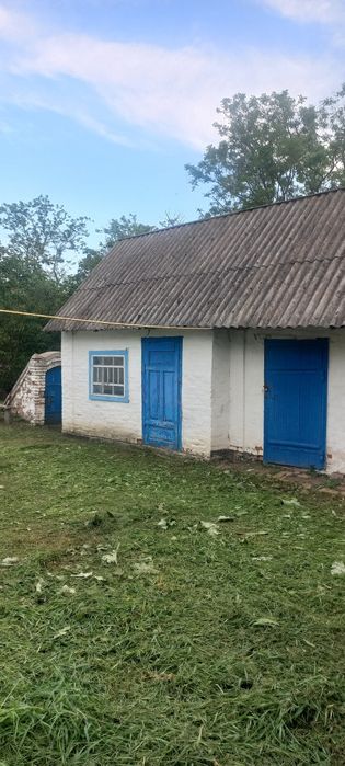 Будинок з ділянкою 60 соток