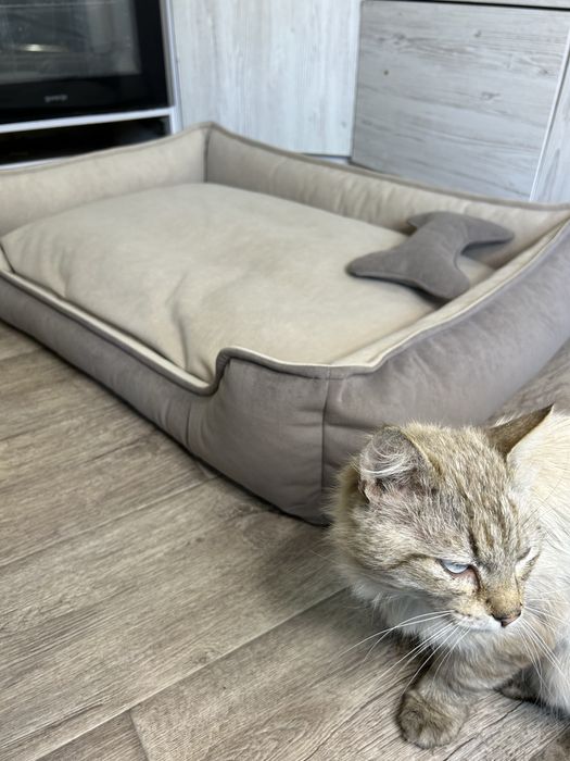 Лежанки Автокрісла Переноски для тварин для котів та собак
