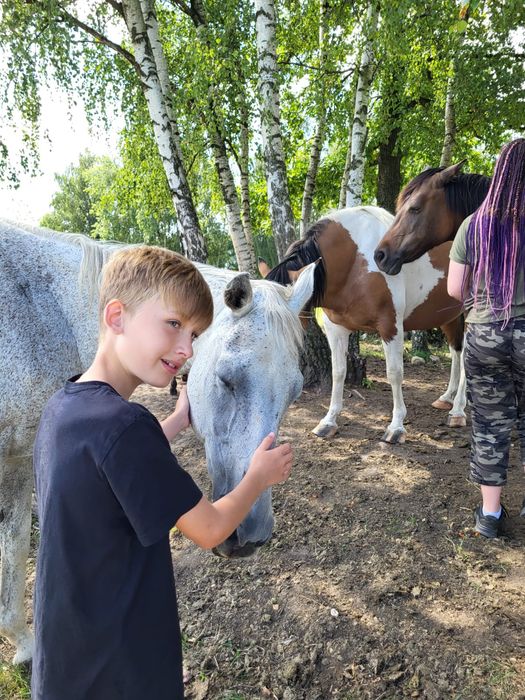 Domek nad jeziorem, Kaszuby, konie, mini SPA na wyłączność
