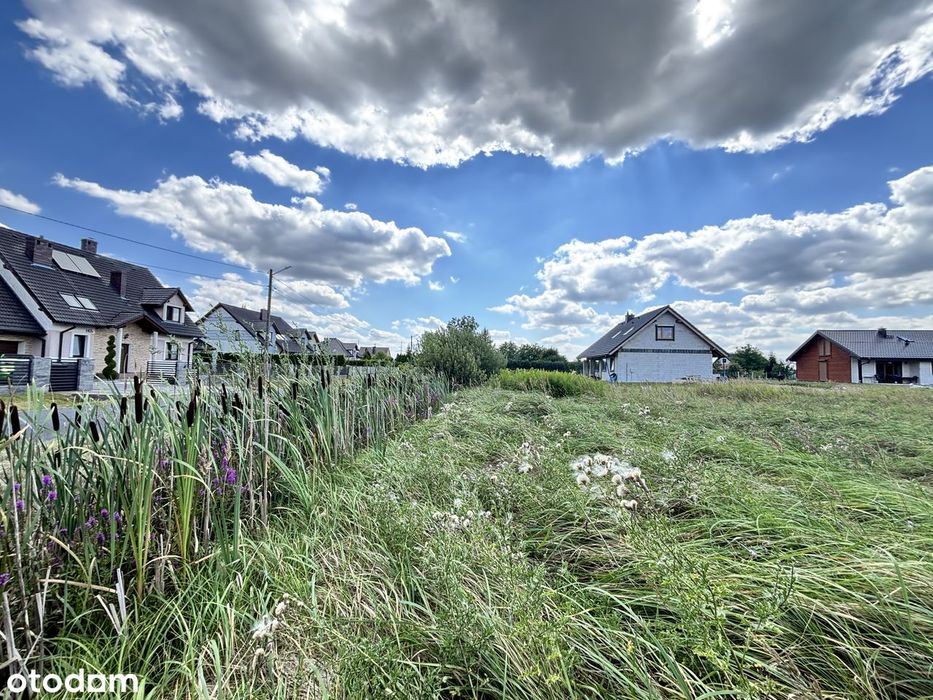 MPZP | Asfalt | 15 km do Lubina i Polkowic | Media | Nowa zabudowa - Więcej