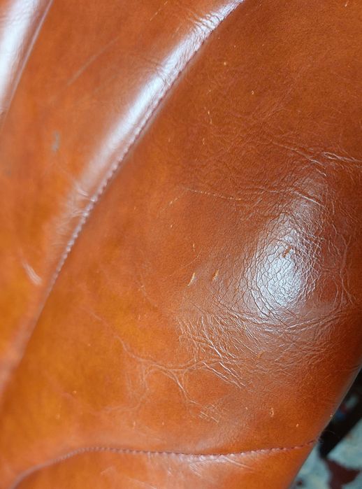 Cadeirão/Poltrona Design Concha - Marca AREA