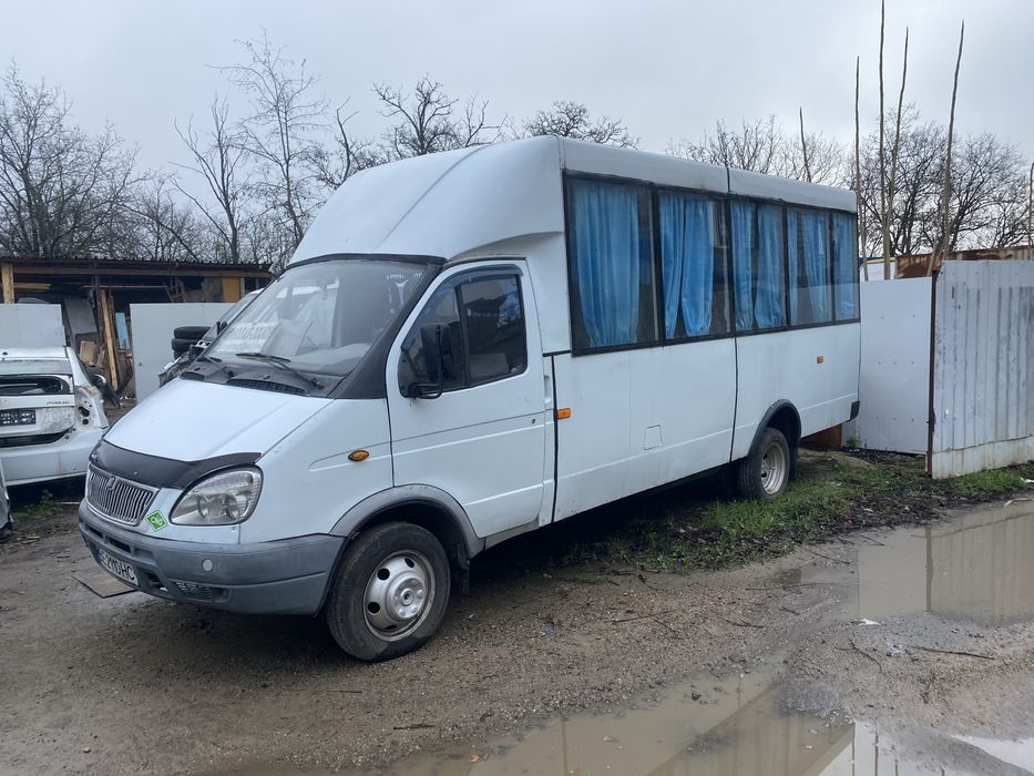 Рута в чудовому стані