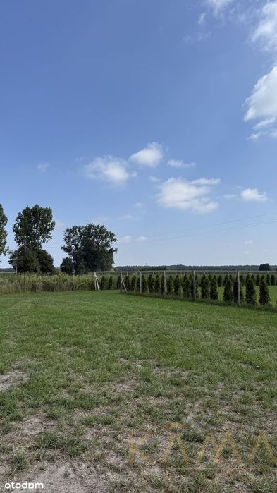 Działka w Żabnie gm Brodnica