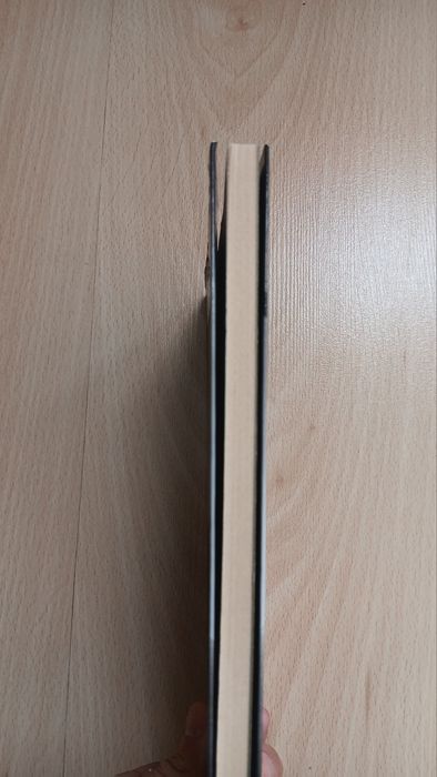 Paul Auster, Viagens no Scriptorium