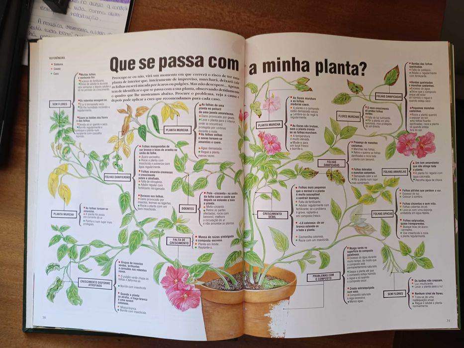 Para ter plantas saudáveis e viçosas!