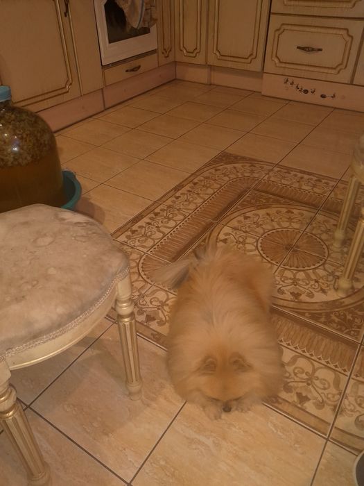 Супер Мальчик 3 года