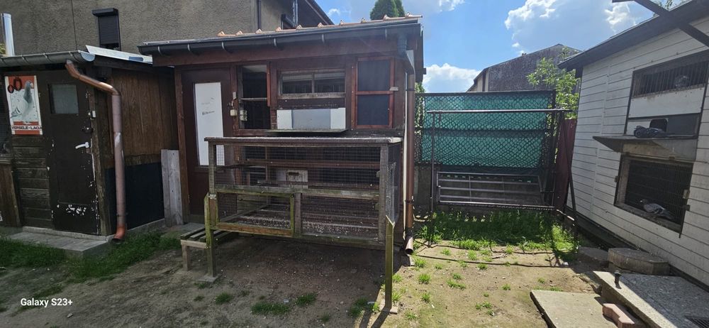 Gołębnik 1,5x2,5x2m