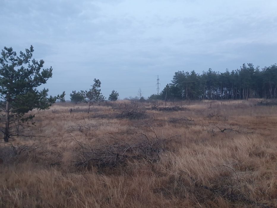 Участок под глэмпинг, базу отдыха возле Голубых Озёр свой пляж