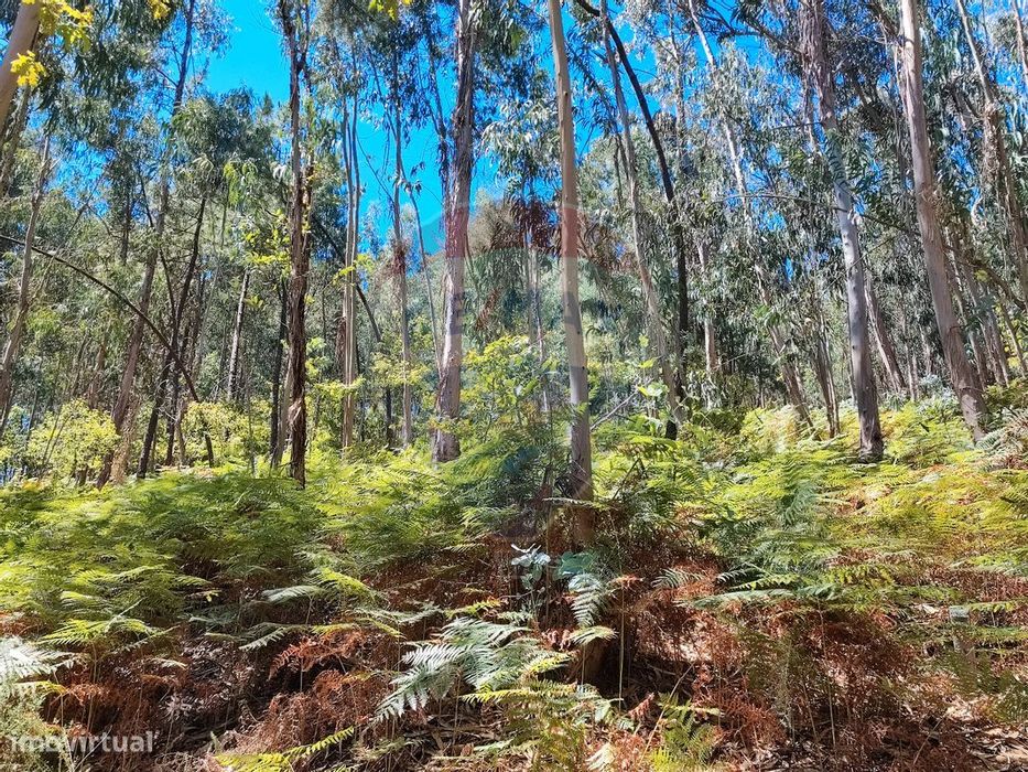 Terreno T0 para venda