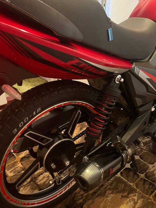 Mustang Fortuna 200,2024 року