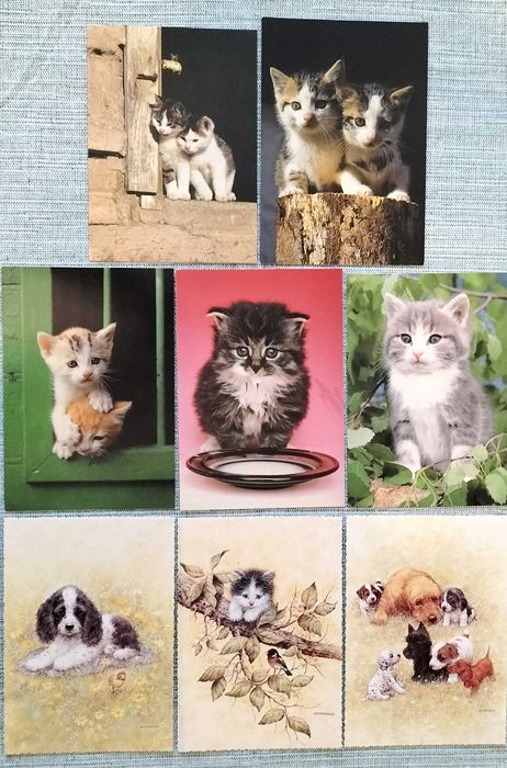 Stare kartki pocztowe koty i psy