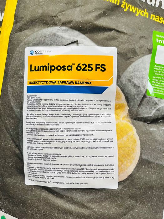 Rzepak oz Dominator F1 na pełnej zaprawie