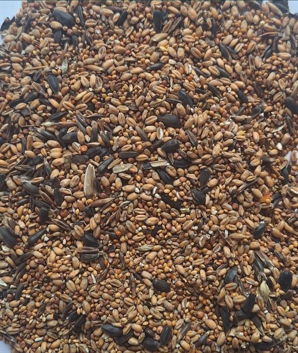 Pokarm zimowy Danimo do karmnika 20 kg, dla ptaków zimujących.