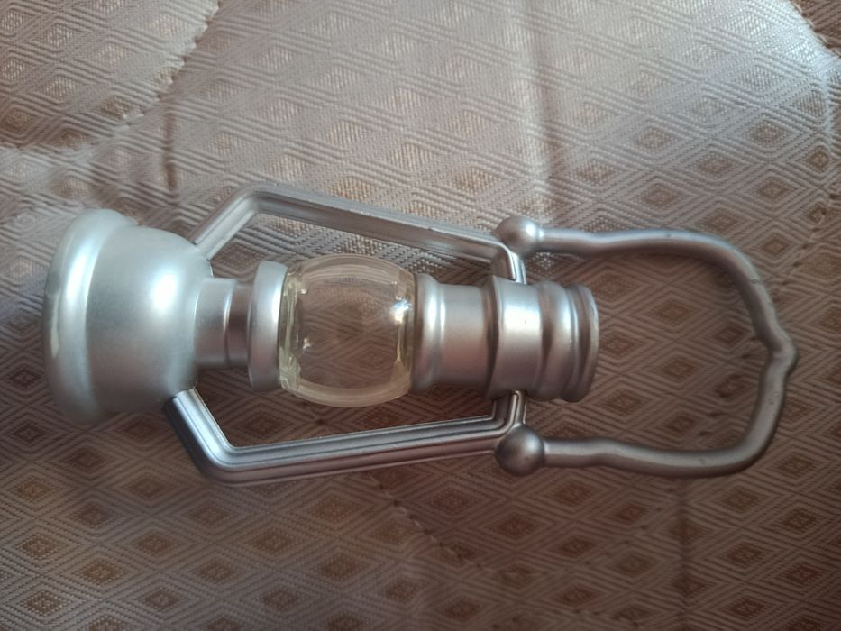 Nancy veterinária e trenó