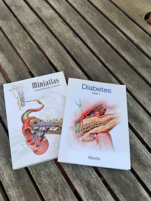 Miniatlas de Temas de Saúde