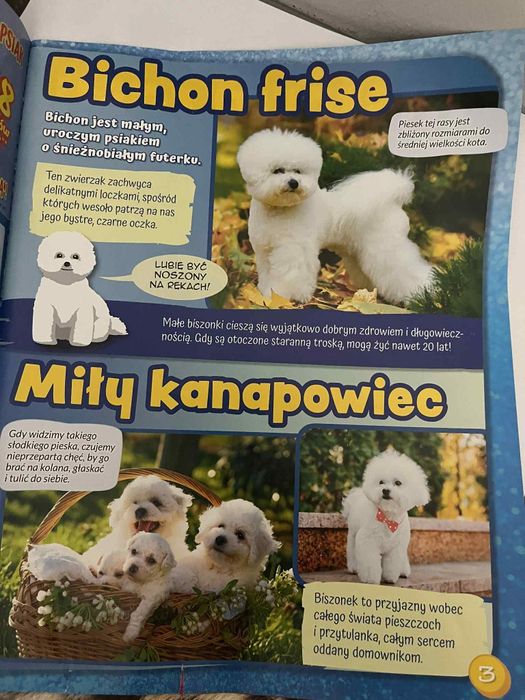 pluszowy piesek z gazetką
