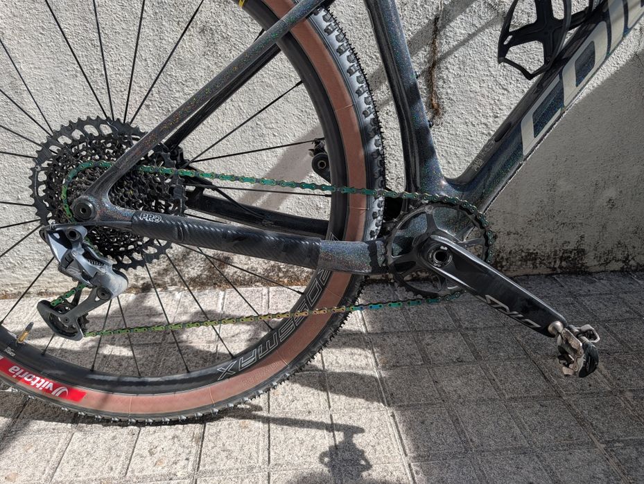 Coluer Poison SL 6.1 2021
