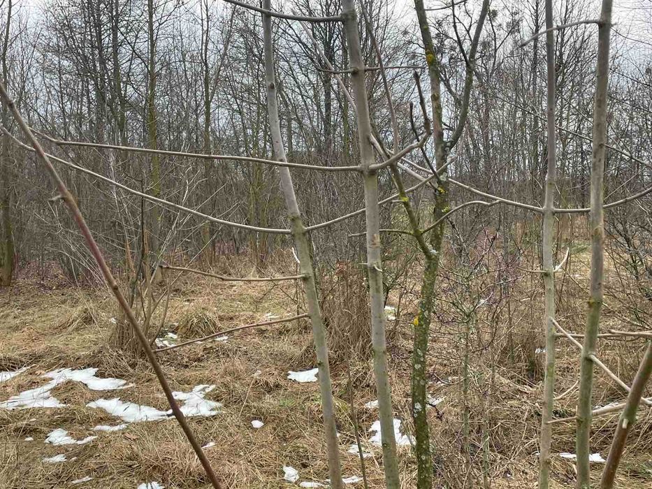 Земельна ділянка 25 сот. с. Замочок