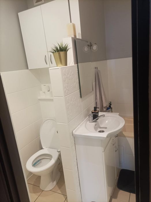 Przytulne umeblowane mieszkanie Dolnośląskie