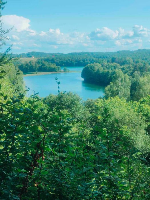 Atrakcyjna działka nad jeziorem Bolesty z warunkami zabudowy!