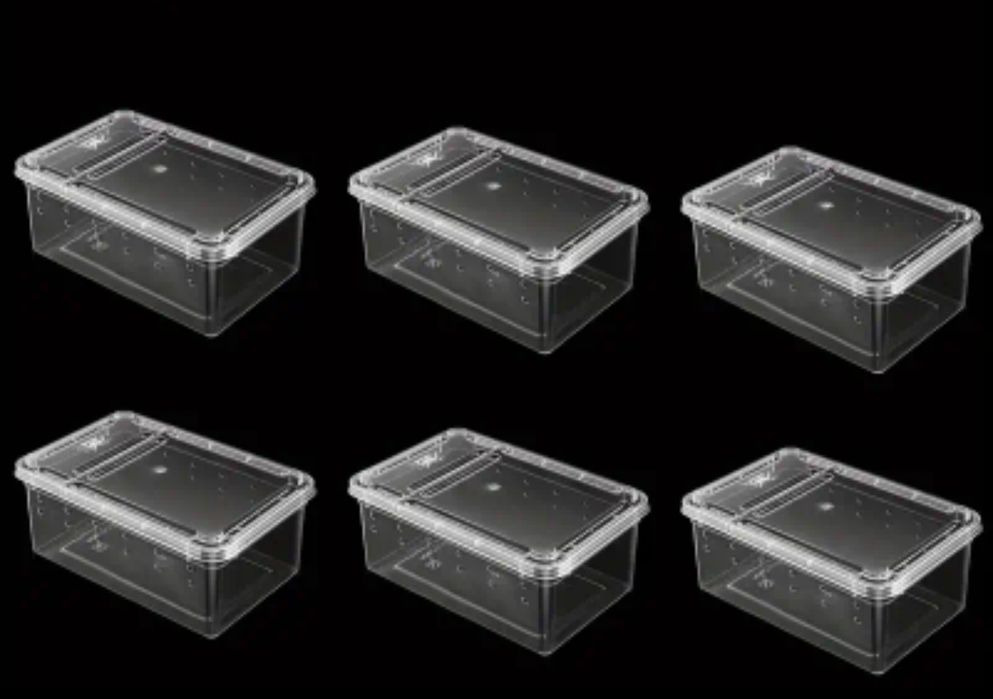 Terrarium plastikowe pojemnik box ptasznik + GRATIS !