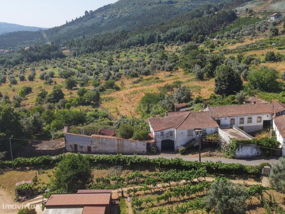 Quinta