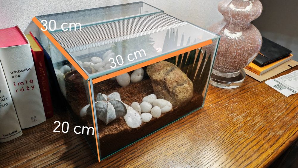 Heterometrus spinifer + terrarium