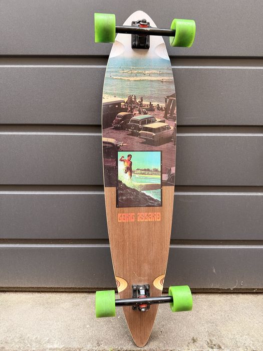 Longboard Long Island Florida Pintail