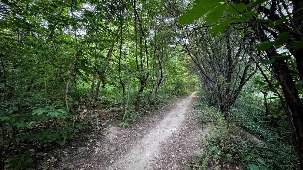 Продаж землі комерційного призначення, Львів, вул. Ланова