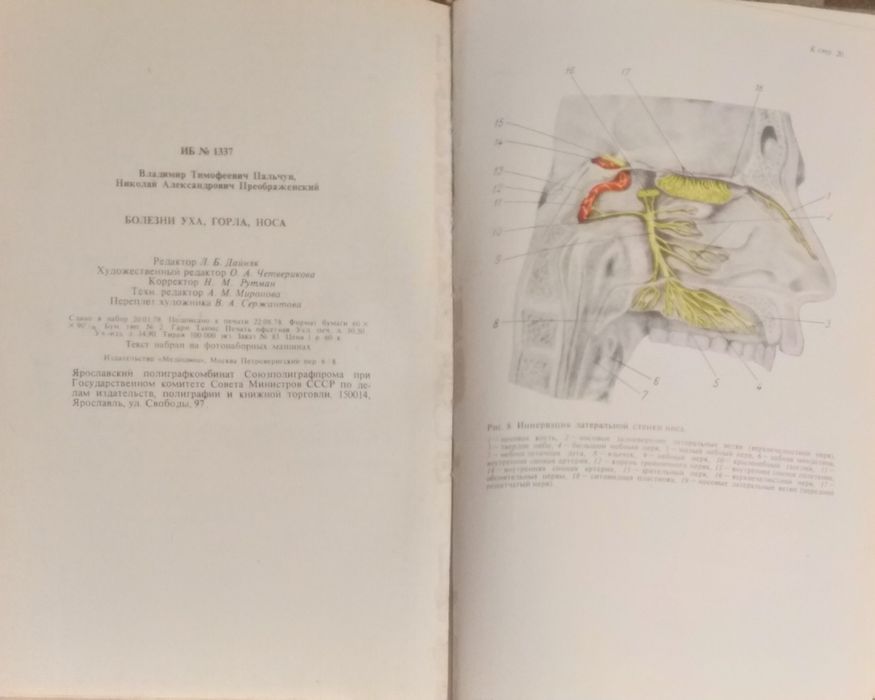 Болезни  уха горла носа