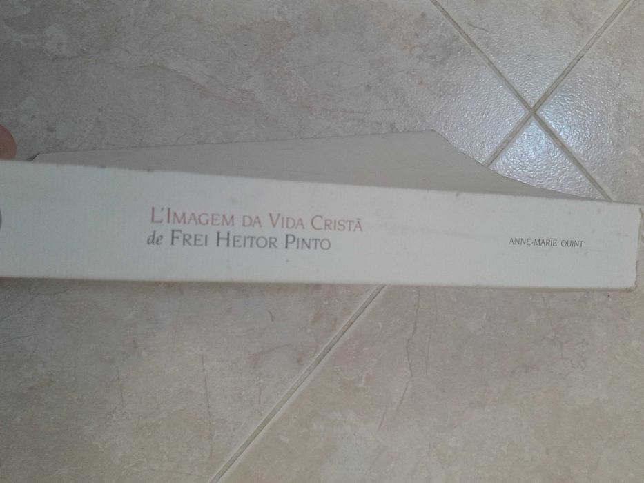L' Imagem da Vida Cristã de Frei Hector Pinto