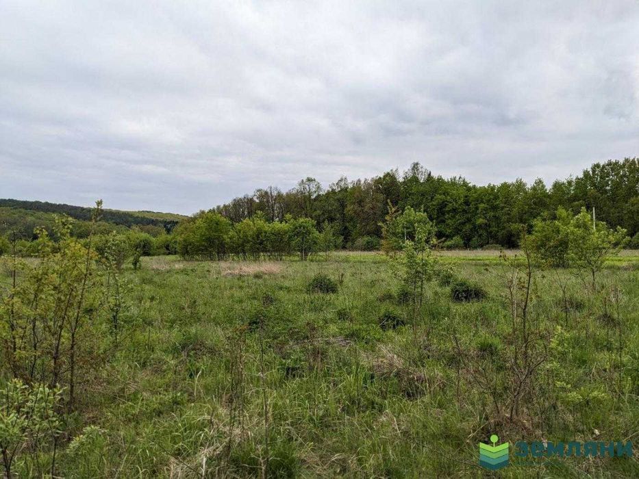 Продається земельна ділянка в Павлівці, урочище Синичино, 30 сот  (1)