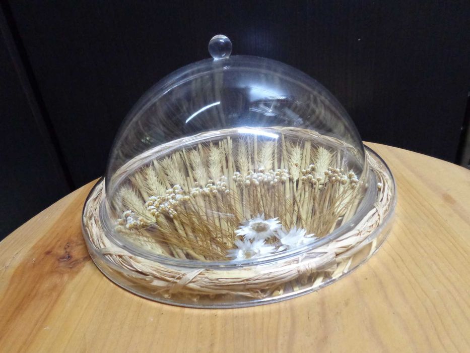 Queijeira de acrílico