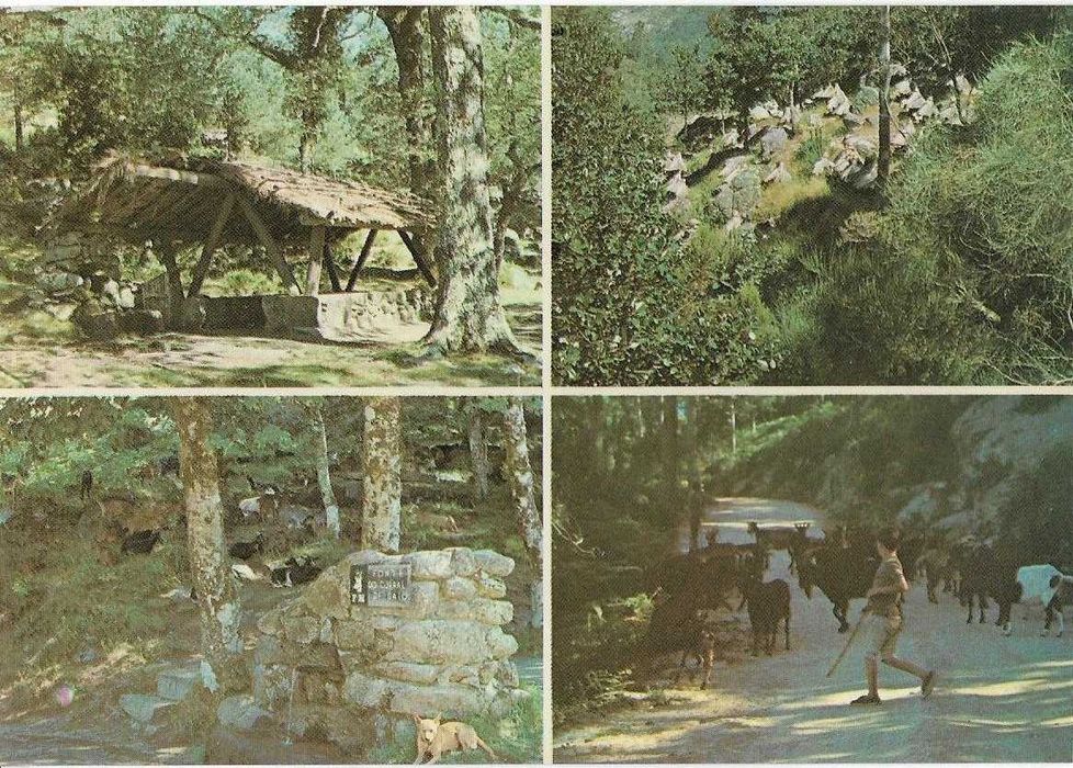Gerês — — — Vintage Postcards (a) (circa 30 years old) — — — — — Postcards64739779725954121