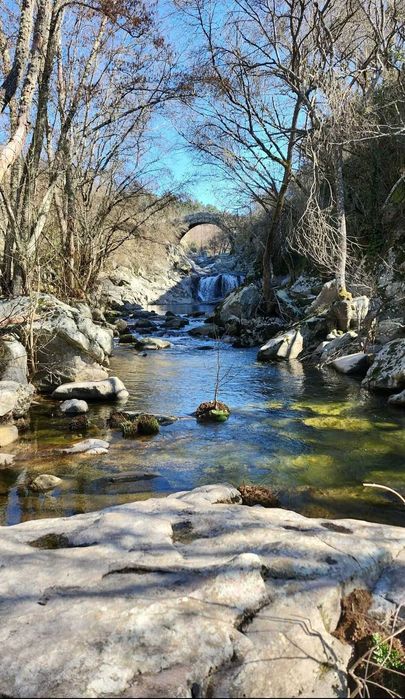 Terreno Lamego com Moinho