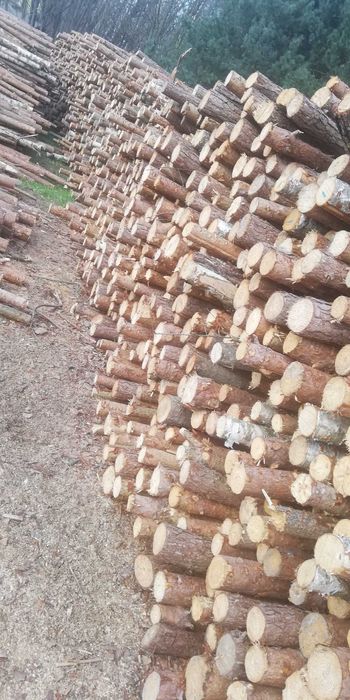 Stemple budowlane drewniane