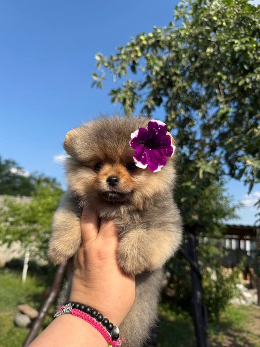 Крошка на ладошку