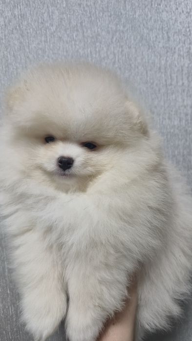 Гарненький хлопчік