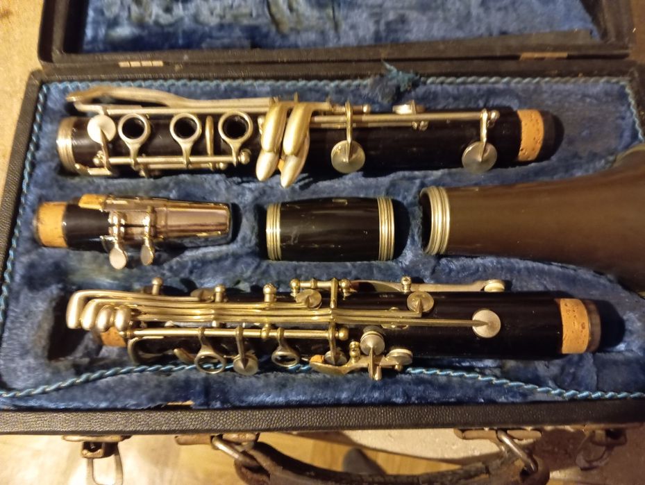 Porządki domowe Stary instrument