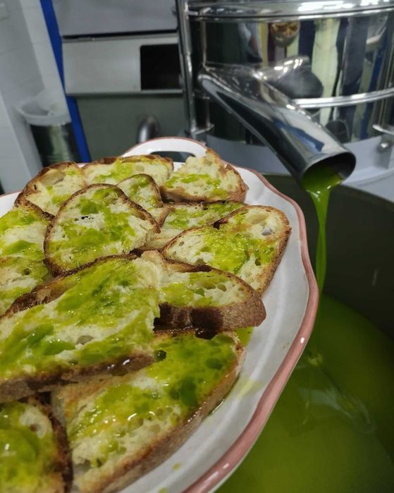 Wyjątkowa grecka oliwa z zielonych oliwek. Zbiory PAŹDZIERNIK 2025