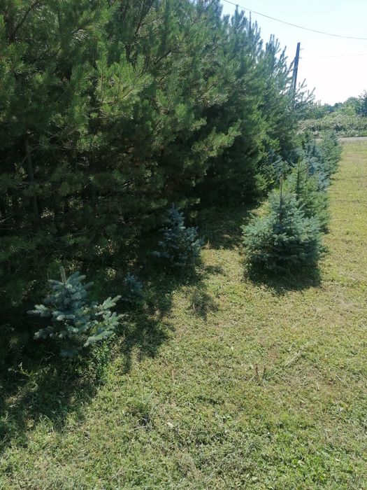 Działka budowlana z rozpoczętą budową