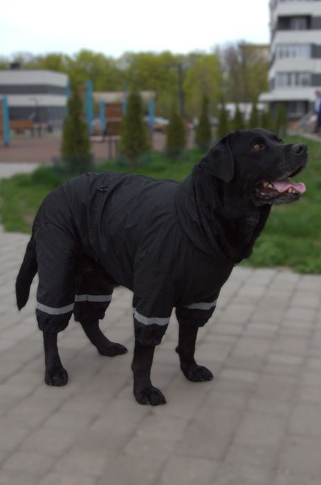 Дощовик для великих собак одяг костюм комбінезон