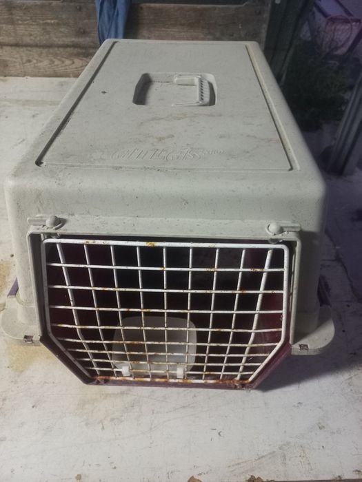 Transportadora de cães e gatos