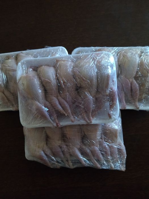 Продам домашне м'ясо перепілки