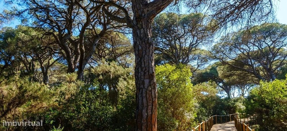 Moradia Isolada T4 com piscina, Aroeira, Almada