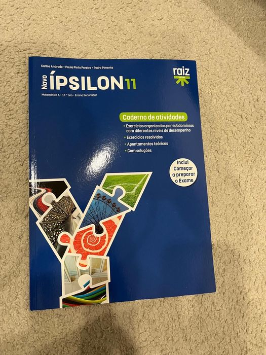 caderno de atividades matemática 11.º ano ipsilon editora raiz