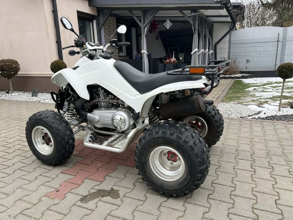 Dinli 300 Automat Homologacja